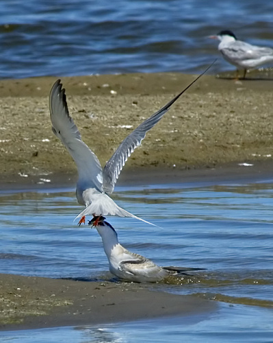 ��������� ������